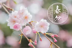 小童问春春不语，新燕双双，且看百花媚图片