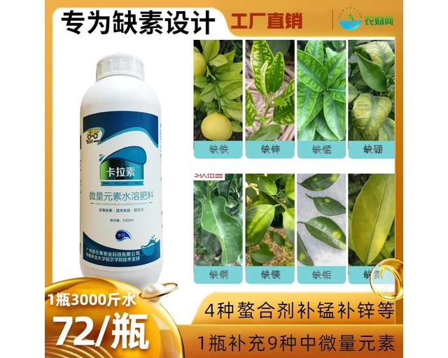 鑺辨湡琛ョ〖锛岃繕鏄ˉ閽欓晛纭硷紵杩樻槸鍏ㄩ兘琛ワ紵瀹為獙鏁版嵁鍛婅瘔浣犺琛ヤ粈涔? onerror=