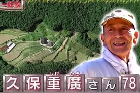 日本老人亲手建深山别墅 材料几乎没花钱 成品却豪华又温馨图片