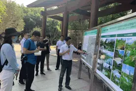 中央、省、市主流媒体齐聚晋安！记录这些变化图片