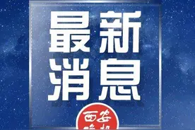 “敦煌毁林案”，调查结果公布图片
