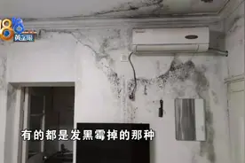 二楼装修一楼渗水，出租损失谁来承担图片