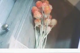 “当初炽热的心，早已慢慢沉默。” ​ ​​​​图片