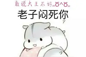 小仓鼠表情包2图片