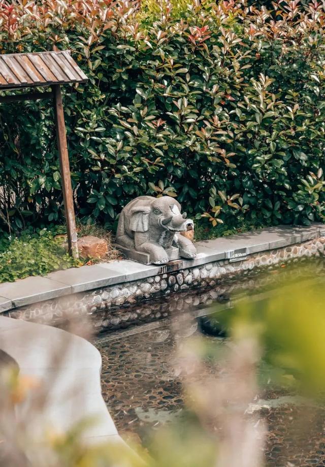龙岩天一温泉 龙岩天一温泉度假村游玩攻略(图10) 龙岩天一温泉 龙岩天一温泉度假村游玩攻略(图10)