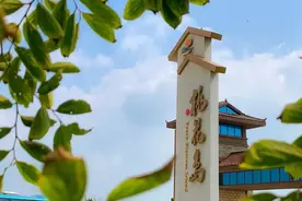桃花朵朵，为你而开，让我们一起相伴在海中的桃花岛！图片