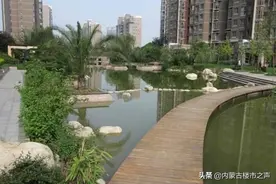 “笨买矮，穷买上，富买中，”是什么意思？图片