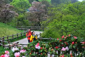 重磅！黄山“五一”假期实行提前分时段预约，未预约不得进入景区图片