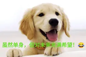 笑话二则！青年公交上吐槽单位不公，被旁边老人机智教育受益匪浅图片