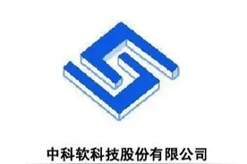 保险IT“独角兽”中科软，股价为何跌跌不休图片