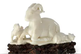 砗磲被禁后，还可以玩的贝壳你有玩么？图片