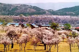 推荐丨你想要的2019年内蒙古春季旅游攻略都在这里！图片