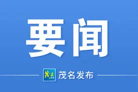 蔡万麟到我市考察调研：讲好茂名故事 汇聚发展能量图片