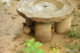 崭新的理想：大白天做了一个梦，梦见老家有一处这样的宅子图片