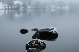 盘点娱乐圈的摄影高手，这些被演戏耽误的摄影师图片