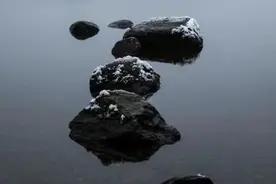 盘点娱乐圈的摄影高手，这些被演戏耽误的摄影师图片