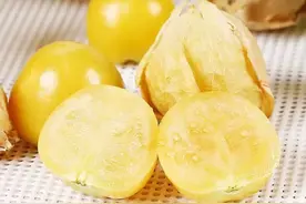 东北的菇娘果图片