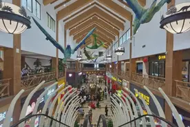 本是高速服务区，却成网红打卡点？！服务区咋引客停留消费？图片