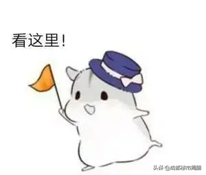 史上最全！学历落户成都全攻略，还有20多种落户方式...