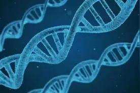 一分钟教你读懂精子DNA完整性检查图片