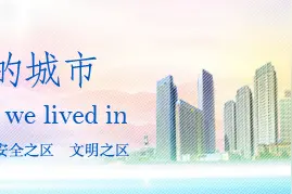 河东区召开智慧内保系统单位基础信息采集录入大会战中期推动会图片