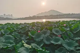 下周股市将是一片艳阳天图片
