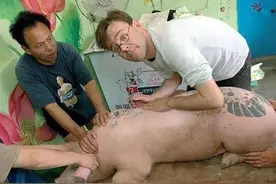 残忍画家给猪活体刺青后完整剥离猪皮画卖100万元一幅，猪太痛苦图片