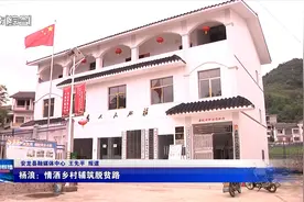 杨浪：情洒乡村铺筑脱贫路图片
