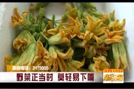 野菜正当时，莫轻易下嘴图片