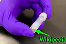 1公斤 DNA＝全球一年产生的所有数据？未来可能是“生物媒体”的天下图片
