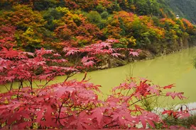 打卡绝美秦岭的一年四季，感受秦岭独有的浪漫图片