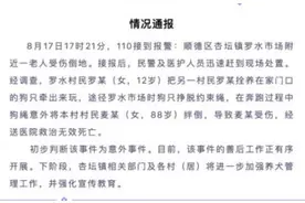 官方通报老人被绊倒身亡：12岁女孩牵走村民的狗图片