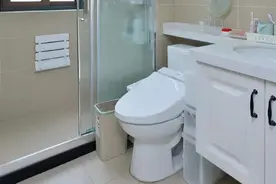 建议：马桶上别挂毛巾架了，看看上海人的做法，美观实用不占地儿图片