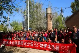 知青岁月（10）：赶马车遇险图片