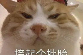 表情包 | 刚好配上我八二年的可乐！图片