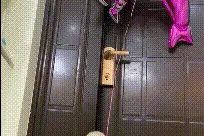 搞笑GIF：这是伤敌八百，自损一千呀图片