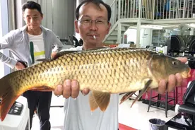 昆明杨官庄水库垂钓攻略：稍微转变垂钓思路，吐槽问题就迎刃而解图片