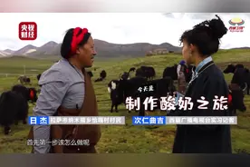 海拔4200米！藏族小姐姐体验天选牧场藏族酸奶制作全流程图片