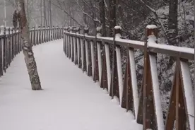 下雪啦！敦化市老白山迎来第一场雪！图片
