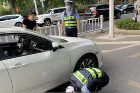 有爱！“喵星人”钻入轿车发动机，交警将其救出，如何防止小动物钻进发动机舱？图片