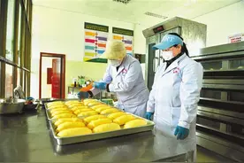 阿里普兰县推动产业扶贫：孔雀河畔产业“开屏”图片