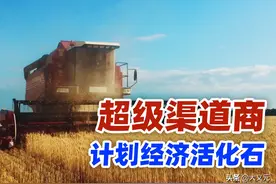 中国最顶级渠道商，却被人质疑为什么还活着，供销巨头的超级实力图片