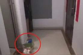 陕西一邻居每天把垃圾放在别人家门口位置：我就这习惯，不能改变图片