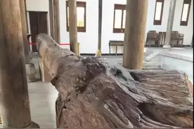 价值2个亿的红木木头，网友：幸好不是海南黄花梨图片