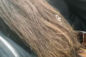 头发洗几次最好？女生别太懒，做到这4点，发质柔顺又有光泽感图片