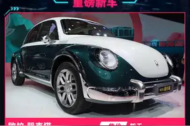 超复古又豪华 欧拉新车朋克猫卖这个价能火？图片
