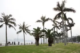 珠海科技学院要来了！可惜存在这两点遗憾图片