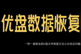 简单快速有效的U盘数据恢复方法一看就会专业恢复U盘文件数据恢复视频封面