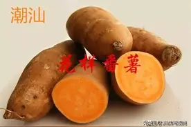 潮汕美食：番薯的各种做法，不一般的美味图片