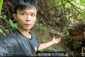 诱蜂箱来侦查蜂是不是比较激动，记住这些坐等来蜂，位置很重要图片